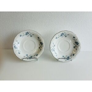 Johann Haviland Bavaria Germany Blue Garland Tea Set Plates Cups Saucers